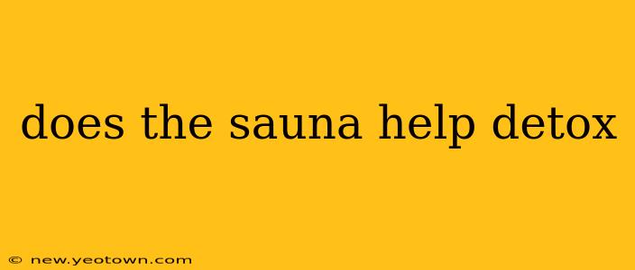 does the sauna help detox