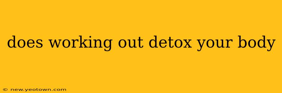 does working out detox your body