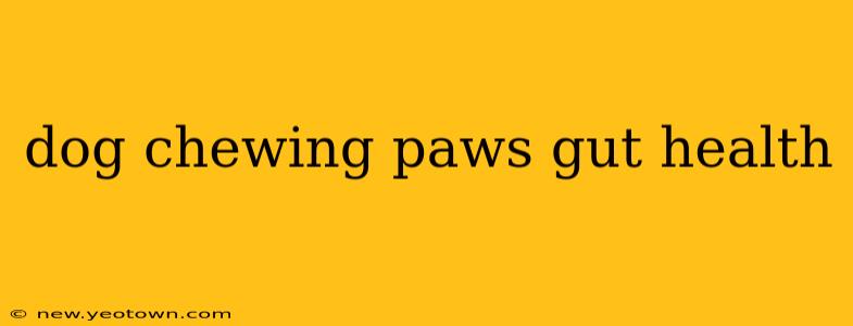 dog chewing paws gut health