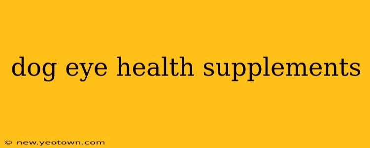 dog eye health supplements