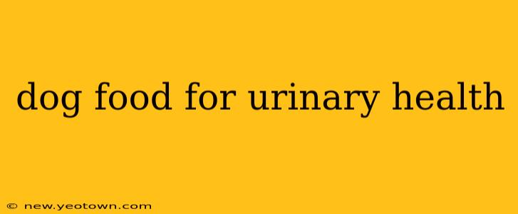 dog food for urinary health