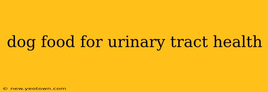 dog food for urinary tract health