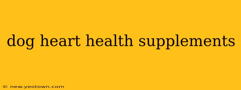 dog heart health supplements