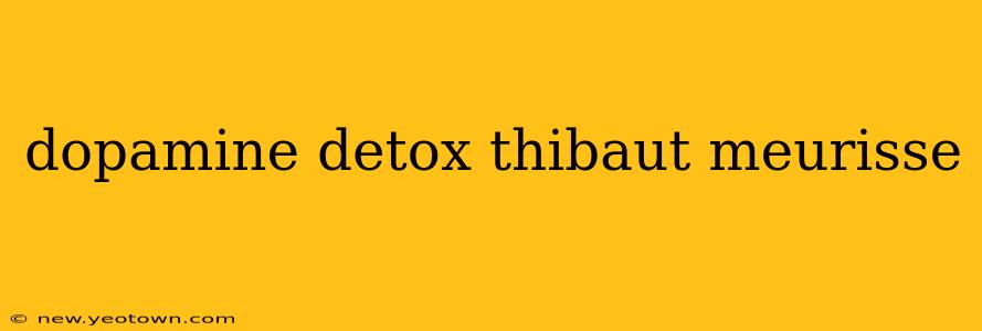 dopamine detox thibaut meurisse
