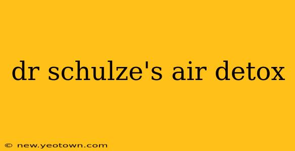 dr schulze's air detox