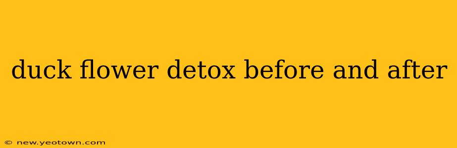 duck flower detox before and after