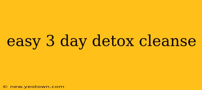 easy 3 day detox cleanse