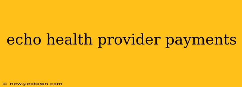 echo health provider payments