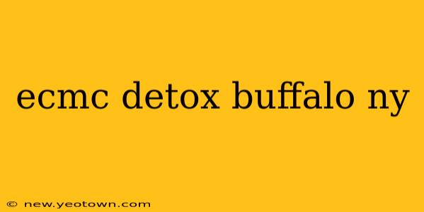 ecmc detox buffalo ny