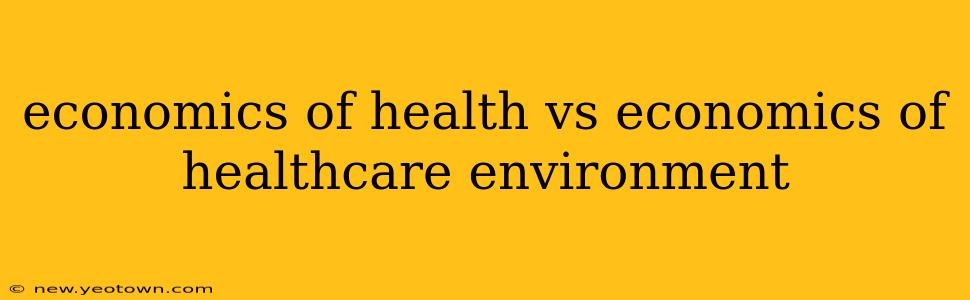economics of health vs economics of healthcare environment