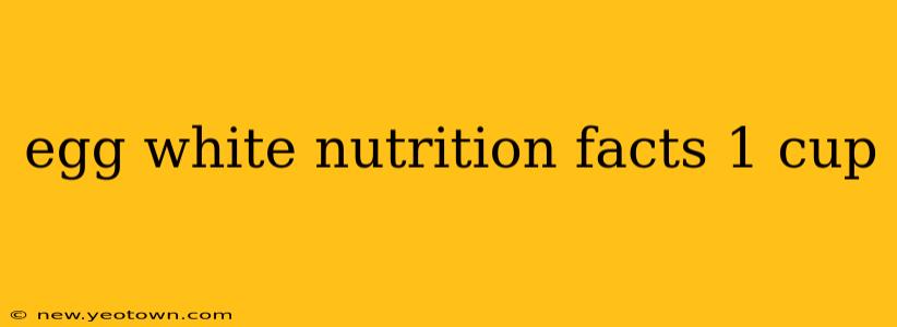 egg white nutrition facts 1 cup