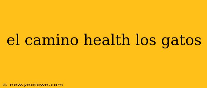 el camino health los gatos