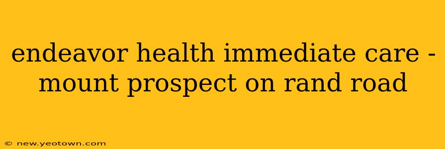 endeavor health immediate care - mount prospect on rand road
