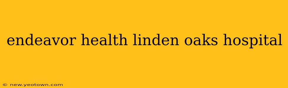 endeavor health linden oaks hospital
