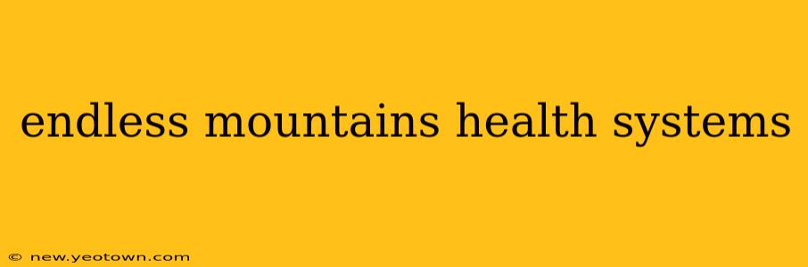 endless mountains health systems
