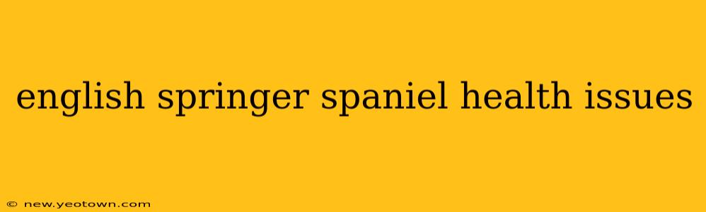 english springer spaniel health issues