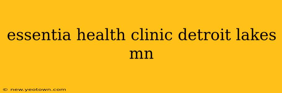 essentia health clinic detroit lakes mn