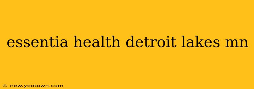 essentia health detroit lakes mn