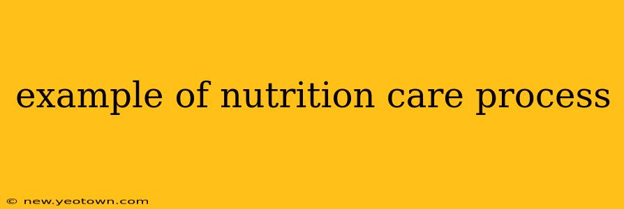 example of nutrition care process