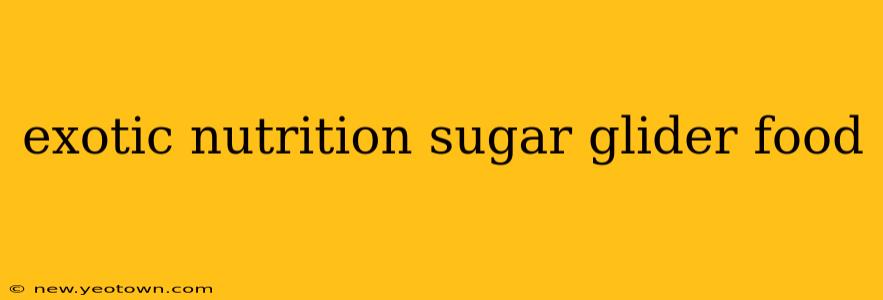exotic nutrition sugar glider food