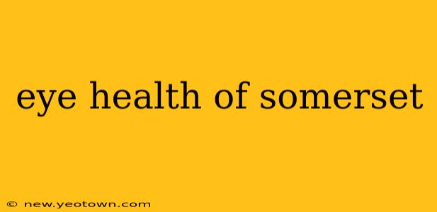 eye health of somerset