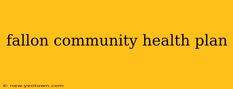 fallon community health plan