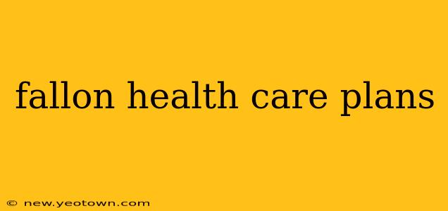 fallon health care plans