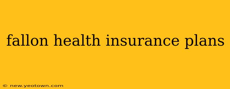 fallon health insurance plans