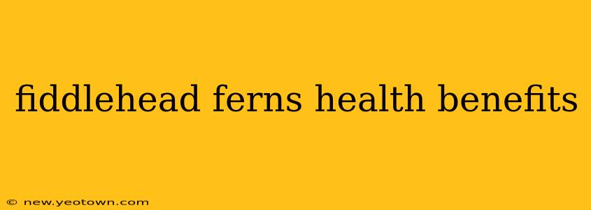 fiddlehead ferns health benefits