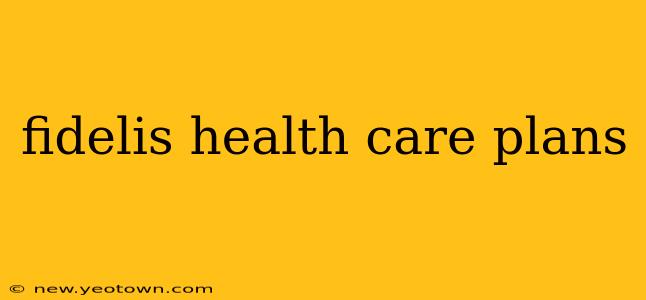 fidelis health care plans