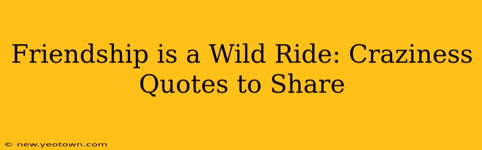 Friendship is a Wild Ride: Craziness Quotes to Share