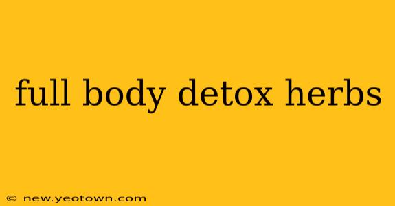 full body detox herbs