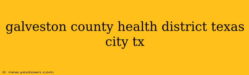 galveston county health district texas city tx