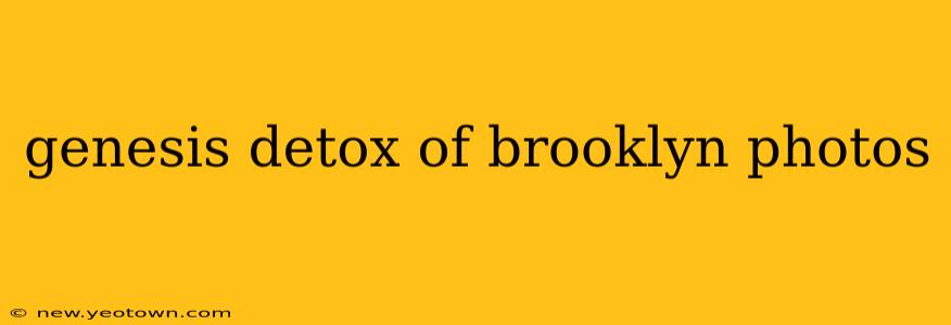 genesis detox of brooklyn photos