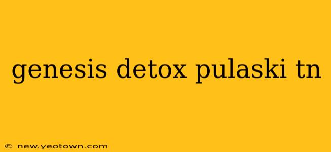 genesis detox pulaski tn