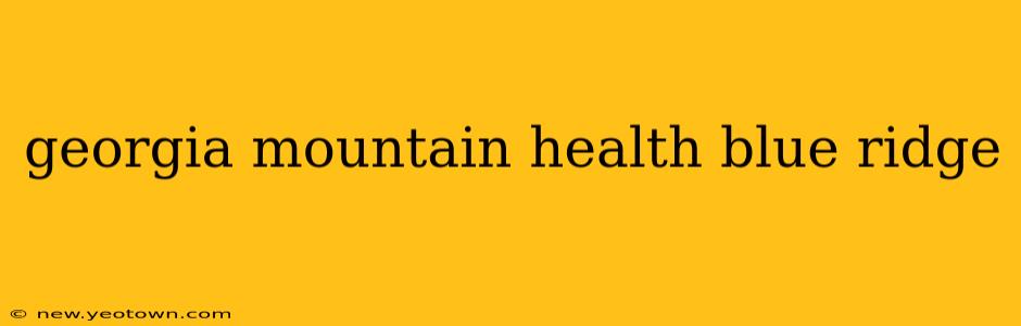 georgia mountain health blue ridge
