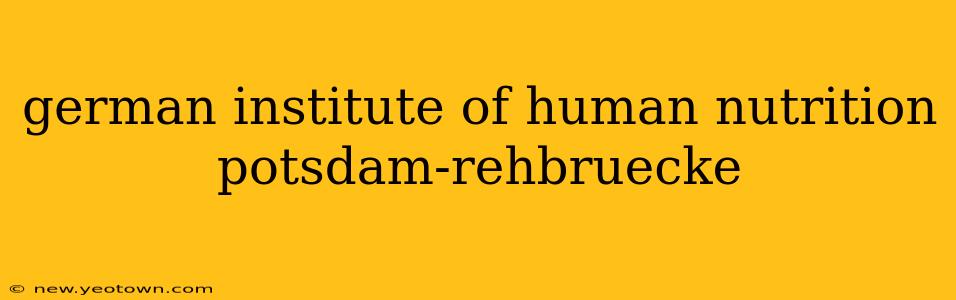 german institute of human nutrition potsdam-rehbruecke