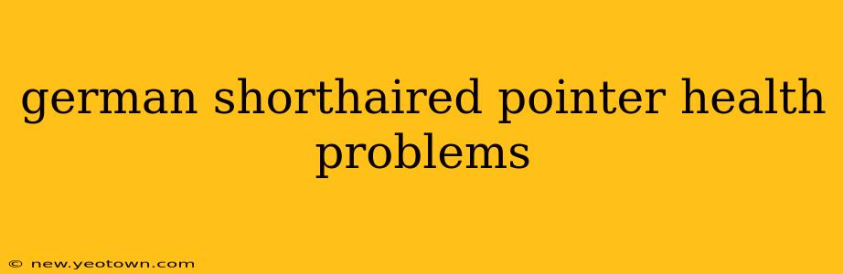 german shorthaired pointer health problems