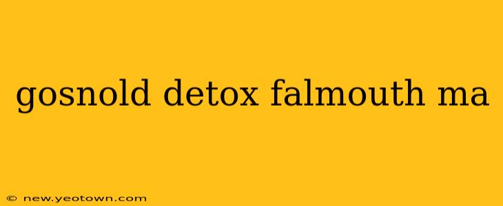 gosnold detox falmouth ma