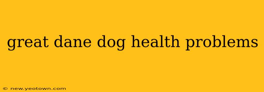 great dane dog health problems