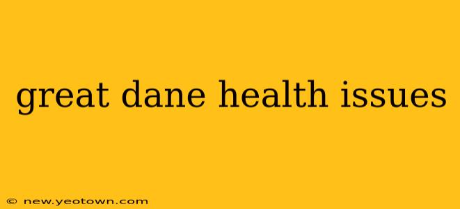 great dane health issues