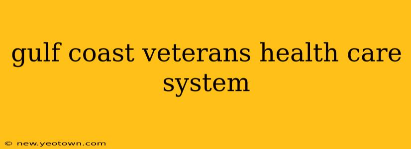 gulf coast veterans health care system