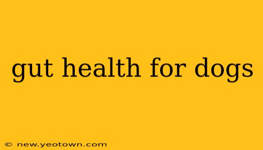gut health for dogs