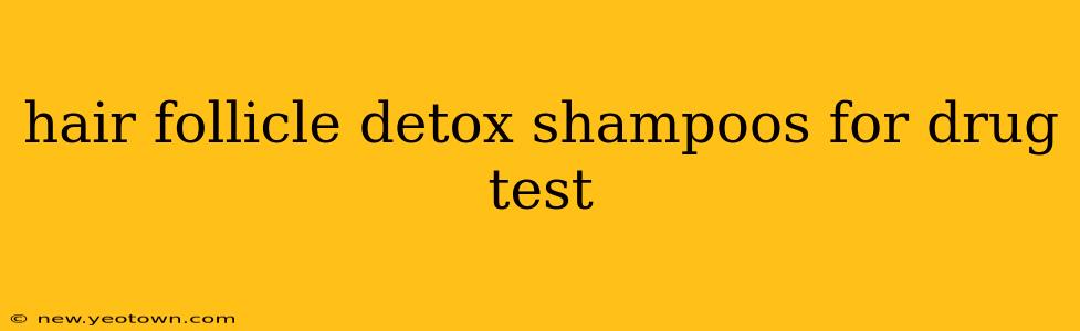 hair follicle detox shampoos for drug test