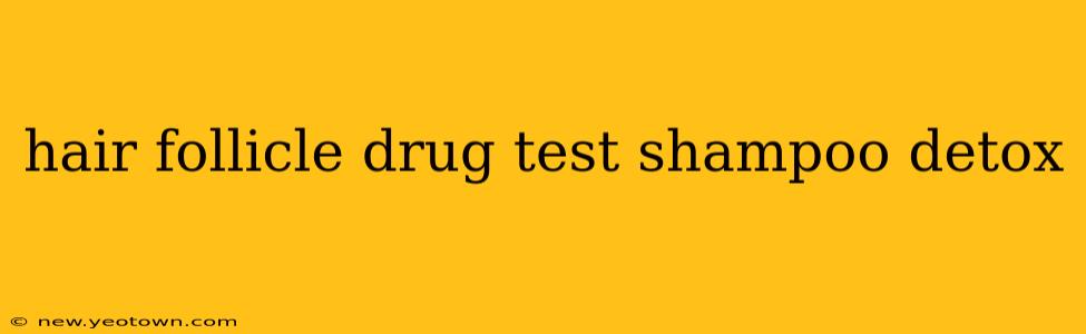 hair follicle drug test shampoo detox
