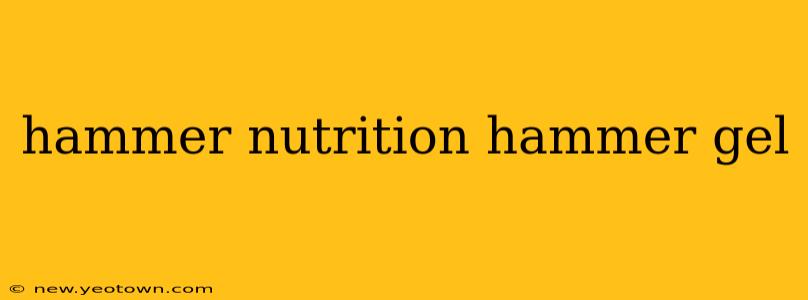 hammer nutrition hammer gel