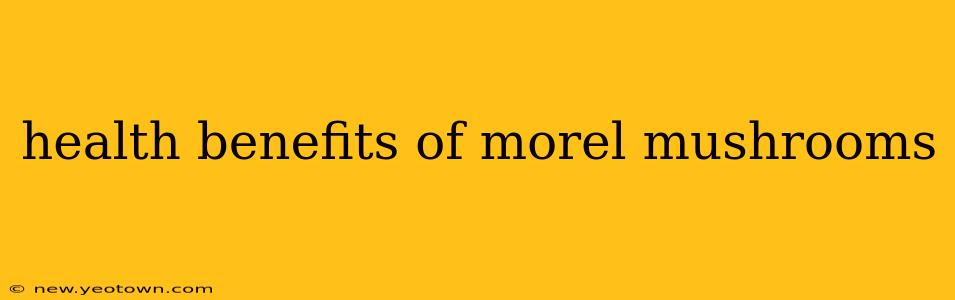 health benefits of morel mushrooms