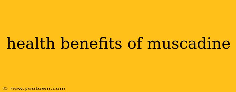 health benefits of muscadine