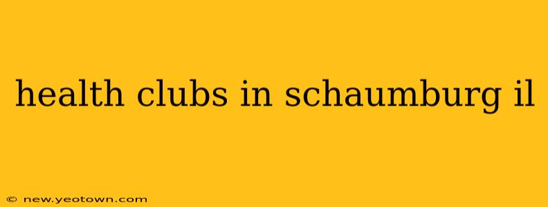 health clubs in schaumburg il
