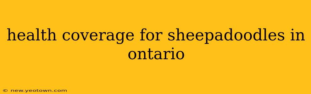 health coverage for sheepadoodles in ontario